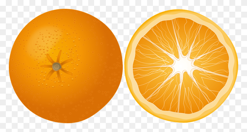 960x482 Orange Transparent Images Orange Slice Clipart, Plant, Citrus Fruit, Fruit HD PNG Download
