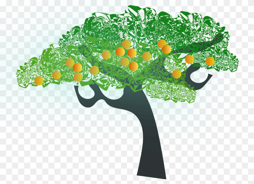 Orange Tree Clipart, Plant, Nature, Citrus Fruit, Food Transparent PNG
