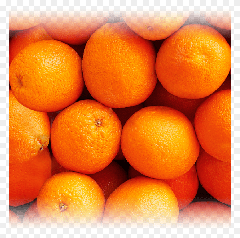 901x895 Orange Vibe Blood Orange, Citrus Fruit, Fruta, Planta Hd Png
