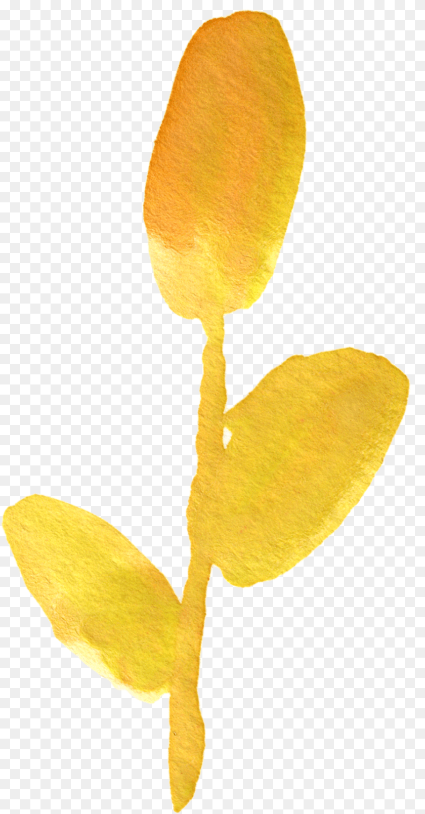 899x1722 Orange Watercolor Flower Transparent, Leaf, Petal, Plant, Tree Clipart PNG