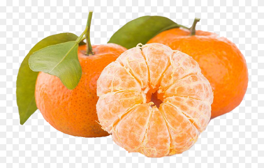 744x476 Oranges, Citrus Fruit, Fruit, Plant HD PNG Download