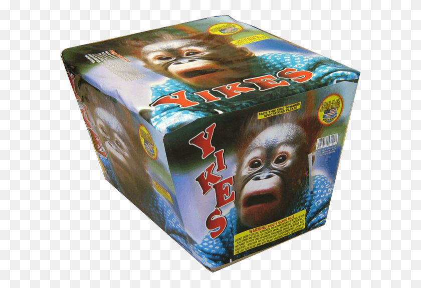 600x516 Orangutan, Book, Box, Person HD PNG Download