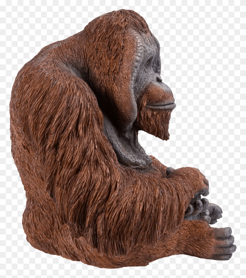 2763x3150 Orangutan HD PNG Download