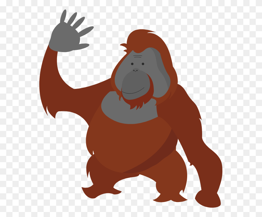 588x636 Descargar Png Orangután Hechos De Dibujos Animados, Animal, La Vida Silvestre, Mamífero Hd Png