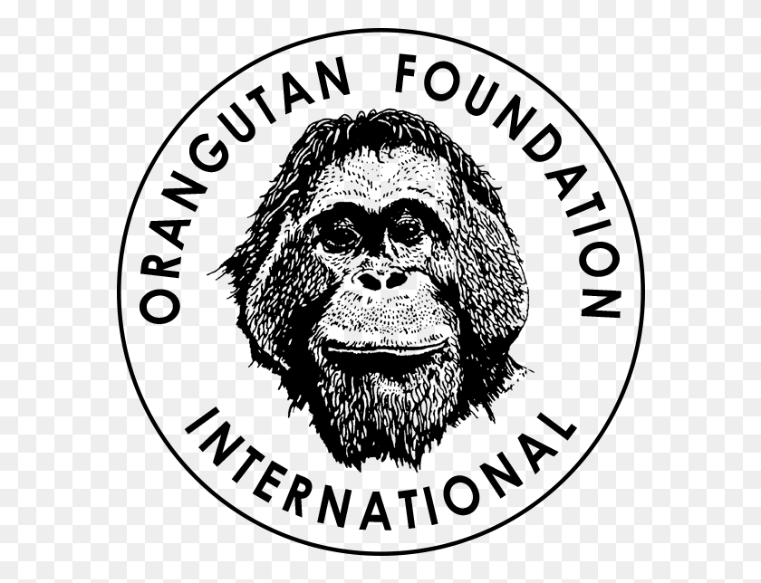 584x584 Orangutan Foundation International, Moon, Outer Space, Night HD PNG Download