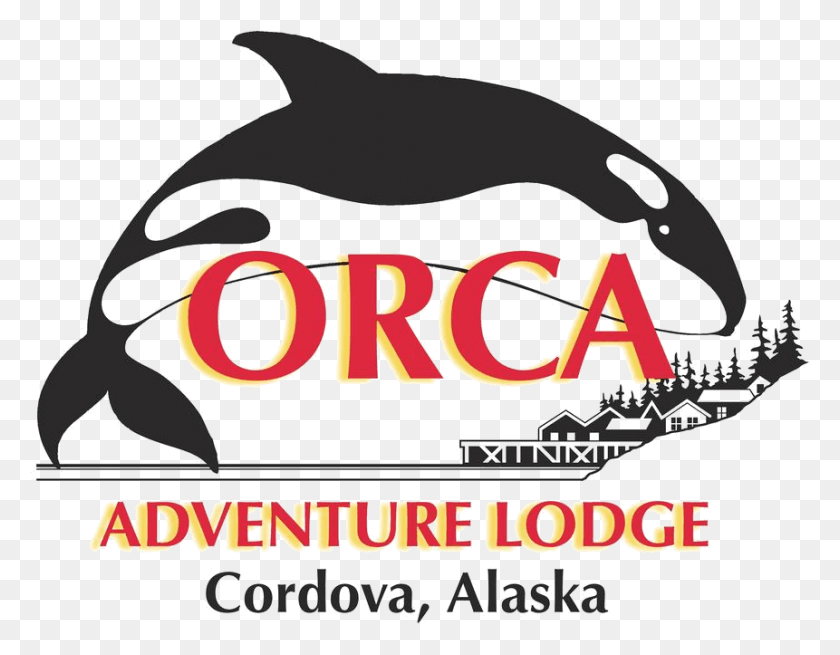 861x657 Orca Adventure Lodge Killer Whale, Sea Life, Animal, Mammal HD PNG Download