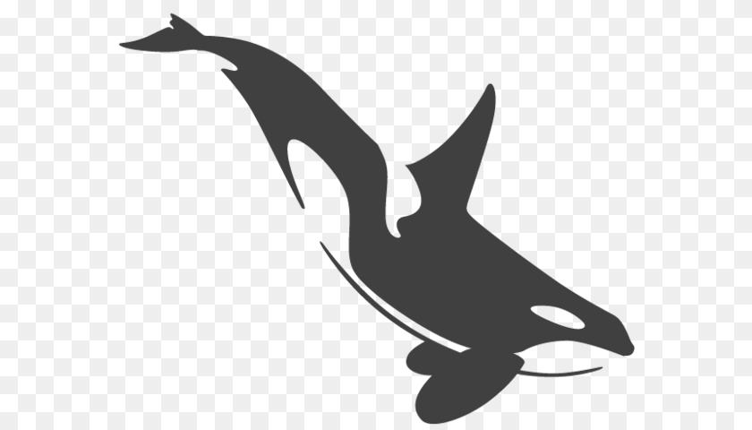 585x480 Orca Animal Jam, Sea Life, Person, Mammal, Dolphin Clipart PNG