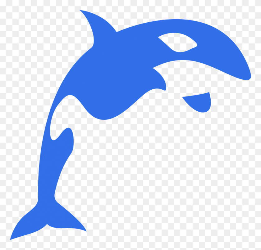 1024x980 Orca Clipart Fish Tail Cut Out Whale, Text HD PNG Download