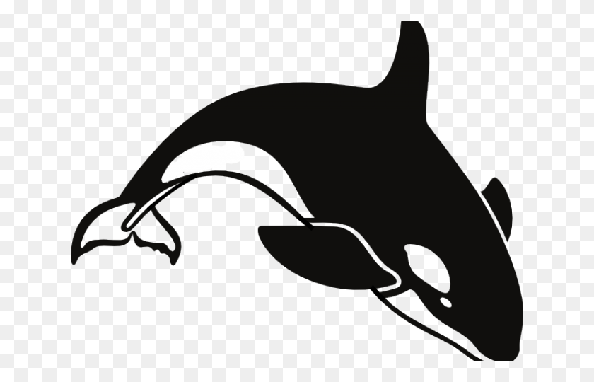 640x480 Orca Clipart Outline Killer Whale Clipart, Sea Life, Animal, Mammal HD PNG Download