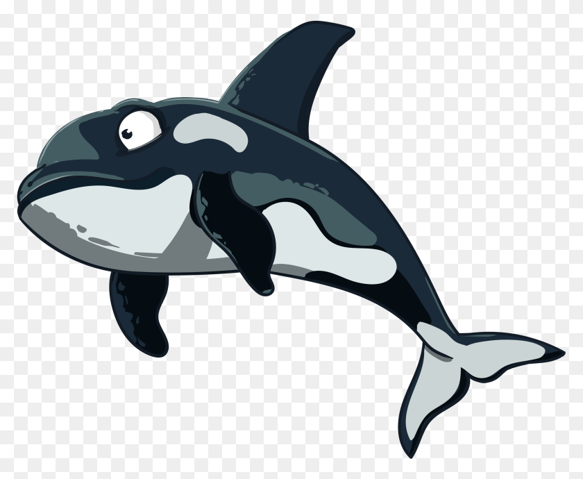 3000x2465 Orca In Vector Vectors For Download, Animal, Mammal, Sea Life, Whale PNG