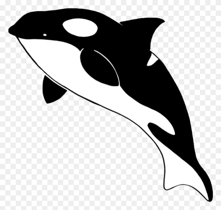 1310x1236 Orca Transparent Animals Ocean Illustration, Axe, Tool, Label Descargar Hd Png