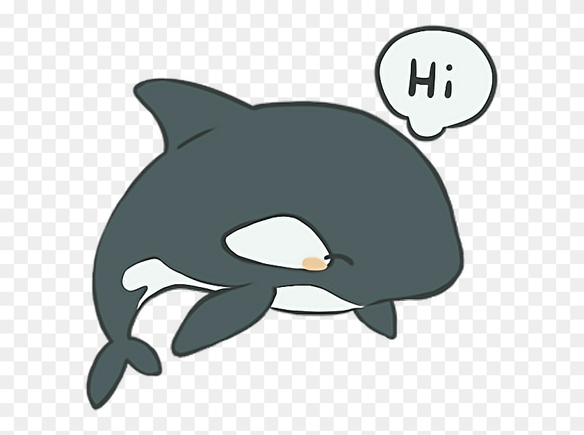 605x566 Orca Whale Animation Text Kawaii Animal Freetoedit Cartoon, Mammal, Sea Life, Sunglasses Descargar Hd Png