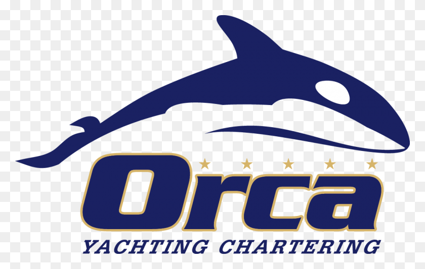 1080x656 Orcayachting Orcayachting Killer Whale, Axe, Tool, Mammal HD PNG Download