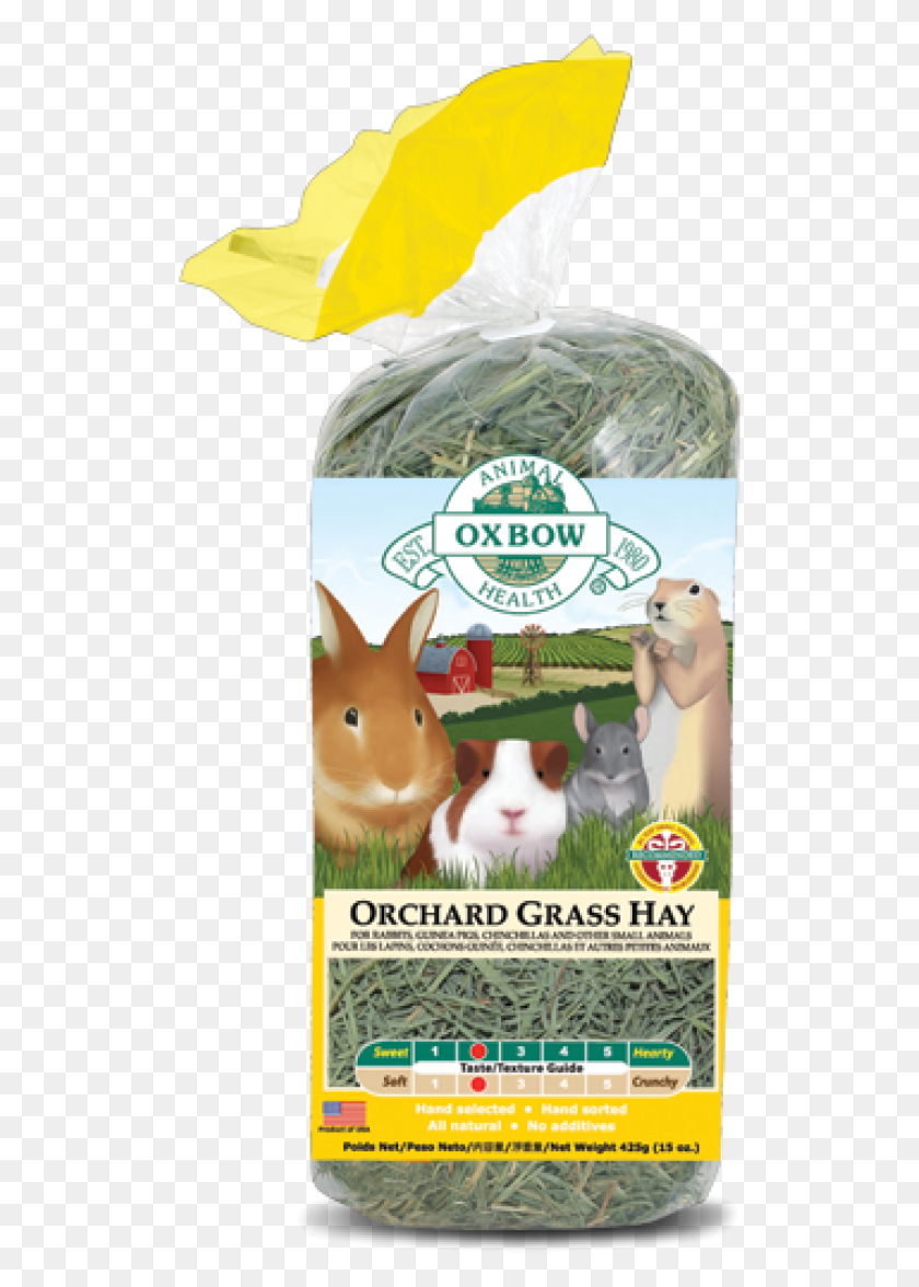 515x1116 Orchard Grass Hay Oxbow Western Timothy Hay 1.13 Kg, Animal, Rodent, Mammal HD PNG Download