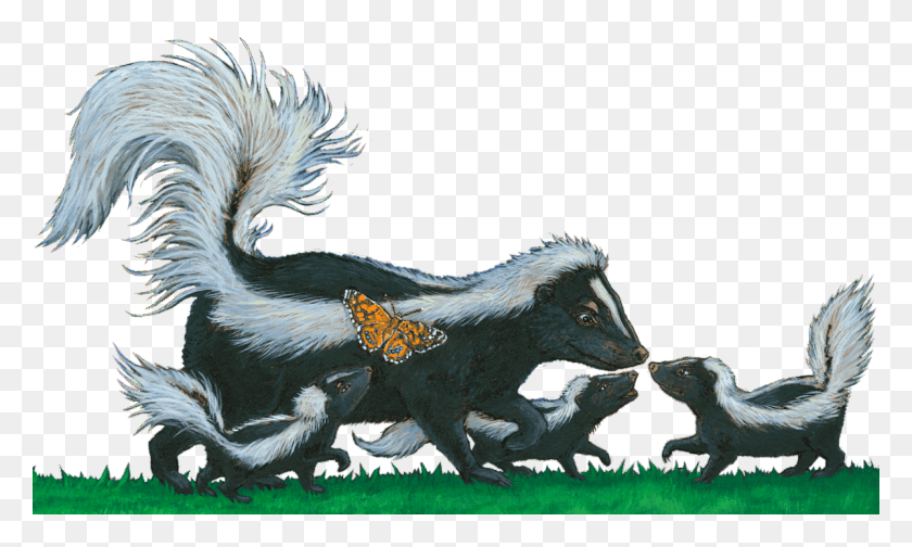 1197x682 Order Your Copy Of Is That A Skunk Now At Striped Skunk, Bird, Animal, Wildlife Descargar Hd Png
