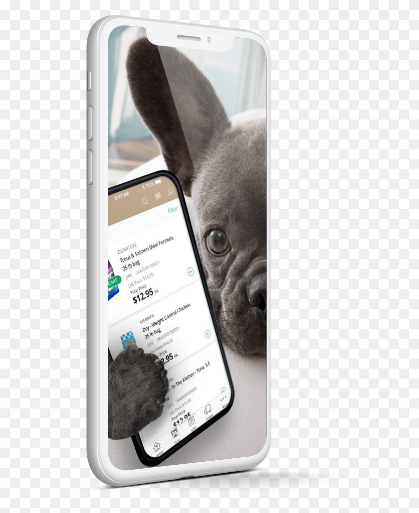 586x970 Ordering The Products You Need From The Brands Pet French Bulldog, Mobile Phone, Phone, Electronics HD PNG Download