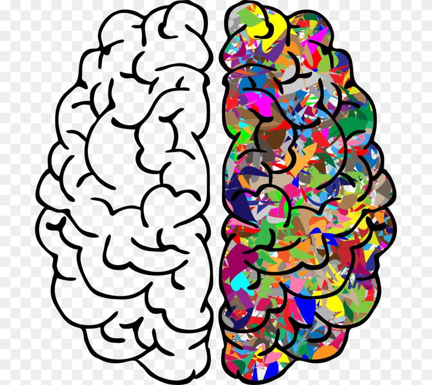 704x750 Organbrainline Left And Right Brain, Art, Graphics, Modern Art, Collage Clipart PNG