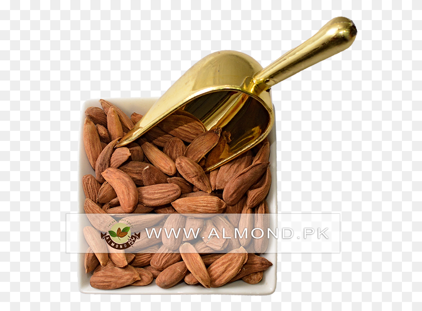 586x558 Organic Almonds Kabul Almond, Nut, Vegetable, Plant HD PNG Download