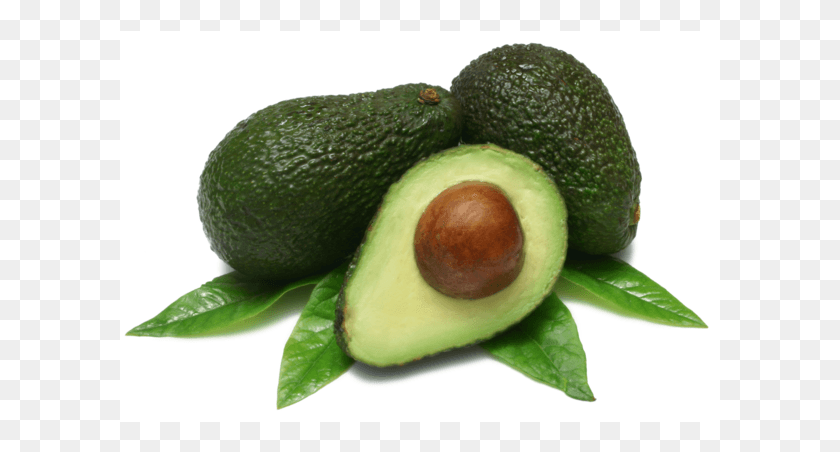 601x392 Aguacate Png / Aguacate Png