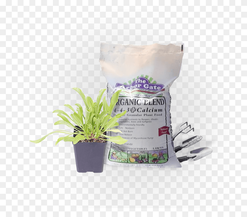 725x679 Organic Blend Food Flowerpot, Paper, Diaper, Advertisement HD PNG Download