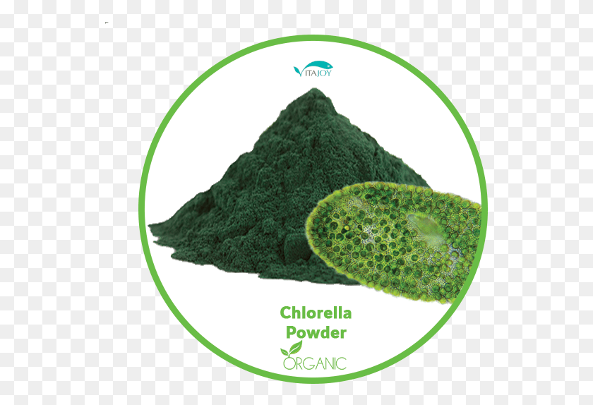 543x514 Organic Chlorella Powder Chlorella Vulgaris, Plant, Moss, Vegetation HD PNG Download