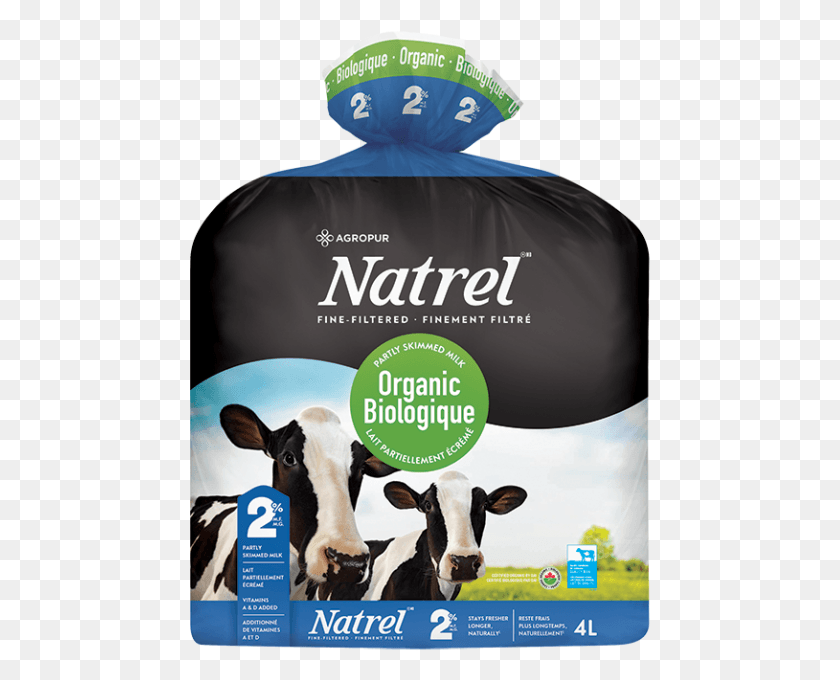 461x620 Organic Fine Filtered 2 Milk Natrel Fine Filtered Milk, Cow, Cattle, Mammal HD PNG Download