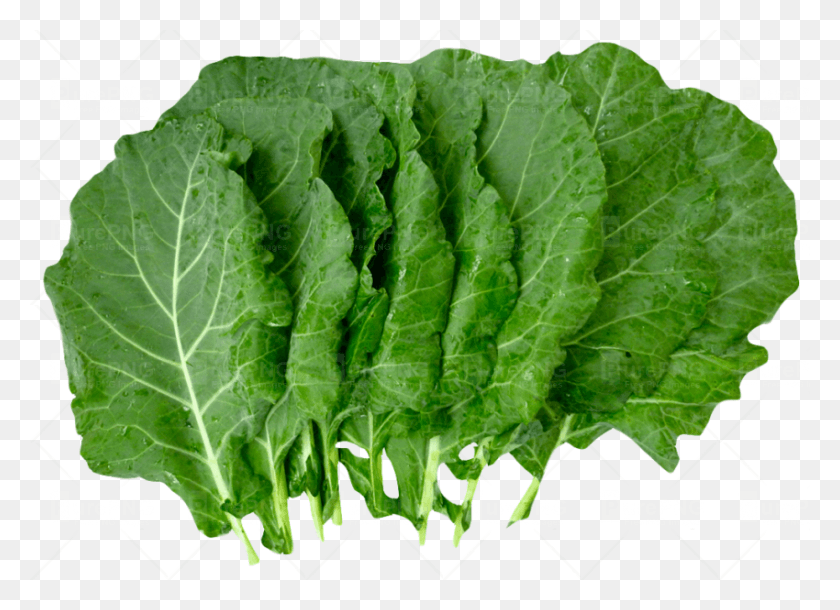 850x600 Organic Greens Chard, Plant, Kale, Cabbage HD PNG Download