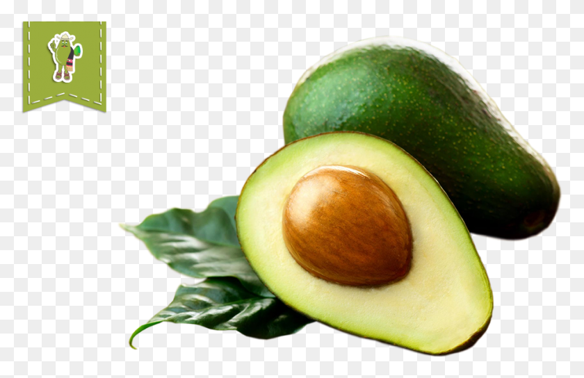 928x577 Organic Hass Avocado Imagenes De Aguacates, Plant, Fruit, Food HD PNG Download