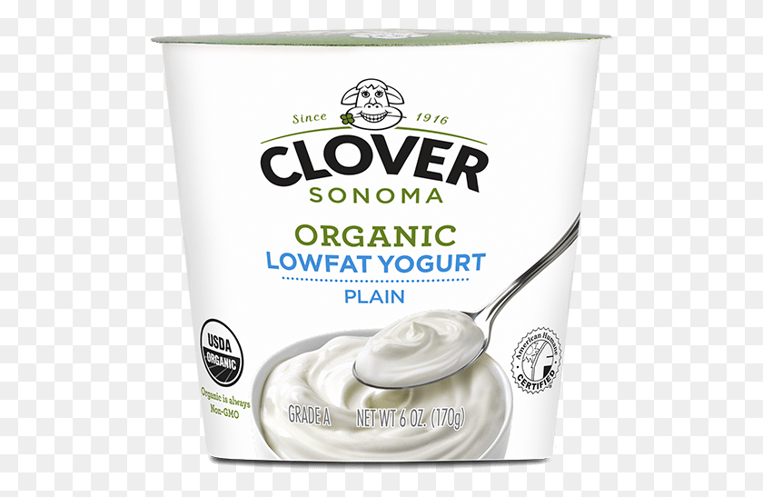 511x487 Organic Low Fat Plain Yogurt, Dessert, Food, Cream HD PNG Download