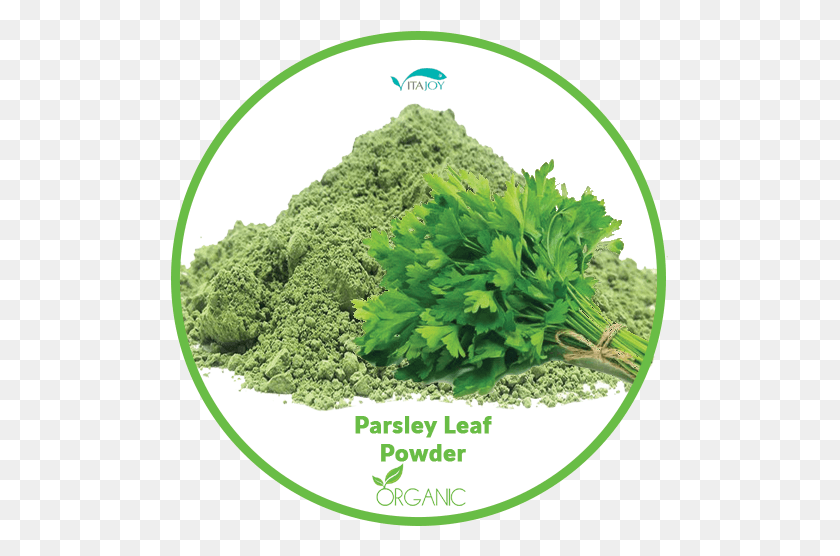 499x496 Organic Parsley Leaf Powder Parsley, Vase, Jar, Pottery HD PNG Download
