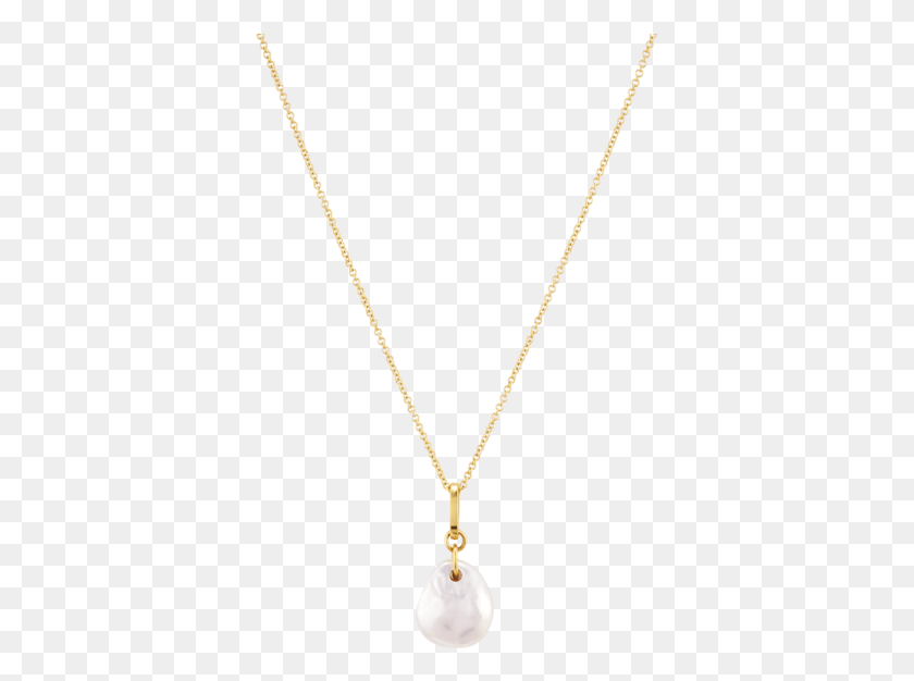 371x566 Organic Pearl Necklace Curzo Rosado Con Cadena De Oro, Jewelry, Accessories, Accessory HD PNG Download