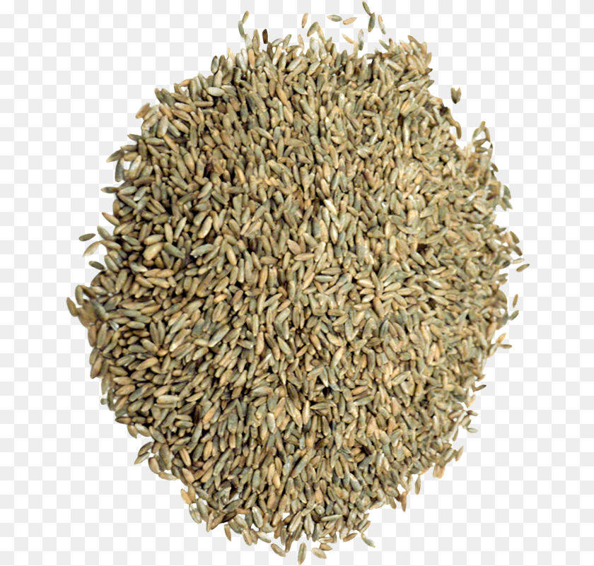 Organic Rye Grain Cumin, Plant, Food, Produce PNG