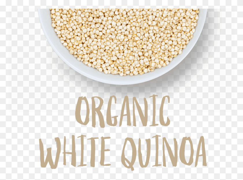 1238x894 Organic White Quinoa Whole Grain, Plant, Food, Produce HD PNG Download