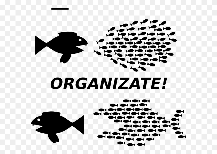 600x536 Organize Fish Picture Clip Art Labor Union Slogans, Stencil, Bird, Animal HD PNG Download
