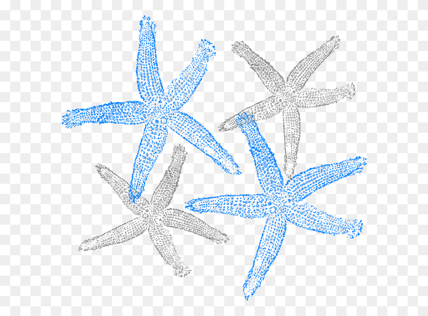 600x559 Original Clip Art File Starfish Prints Svg Images, Invertebrate, Sea Life, Animal HD PNG Download