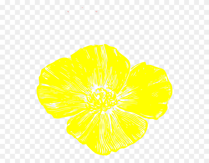 546x597 Original Clip Art File Yellow Poppy Svg Images Golden Poppy Clip Art, Plant, Petal, Flower HD PNG Download