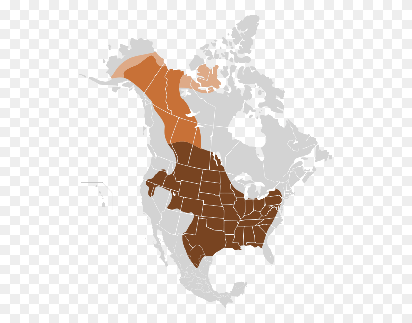 515x599 Оригинальное Распределение Популяции Оленя-Мула В Северной Америке, Карта, Диаграмма, Атлас Hd Png Скачать