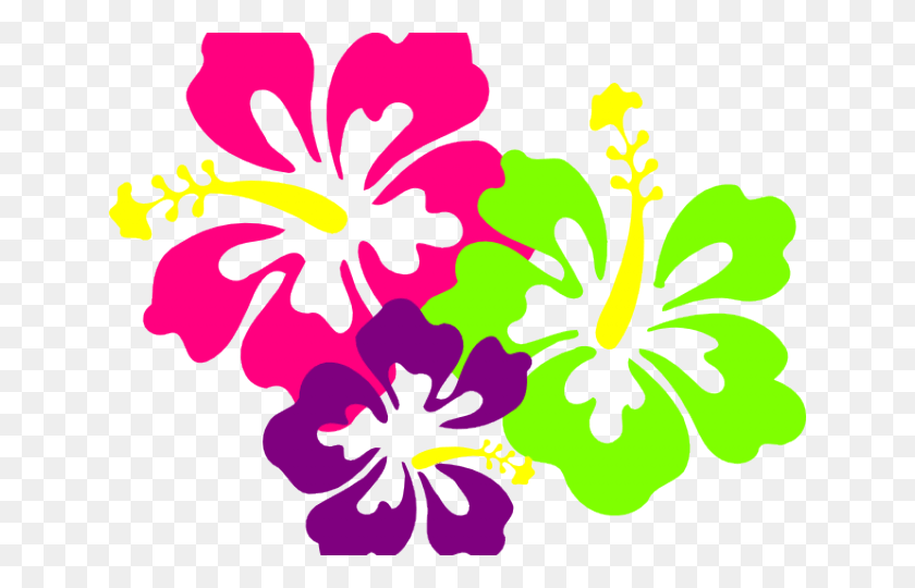 640x480 Original Flowers Of Hawaii, Hibiscus, Flower, Plant HD PNG Download