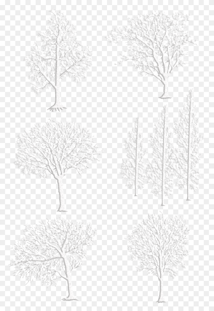 878x1304 Оригинальный Рисованный Ветер Белая Зима И Psd, Снежинка, Растение, Дерево Hd Png Скачать
