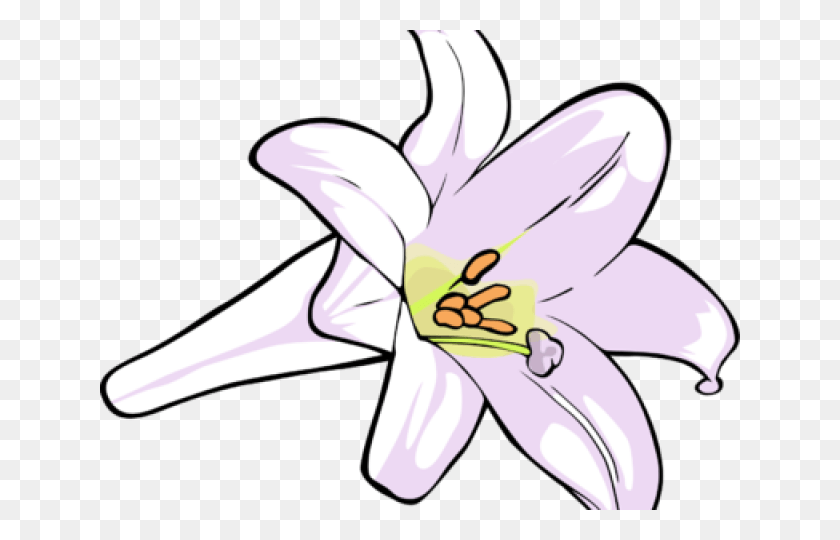 640x480 Original Lily, Plant, Flower, Blossom HD PNG Download