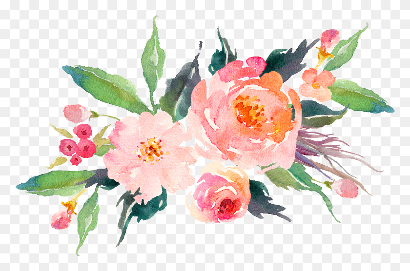 778x496 Original Web 0nly Bunch Of Flowers Peach Flowers Pink Watercolour Flowers, Plant, Flower, Blossom HD PNG Download