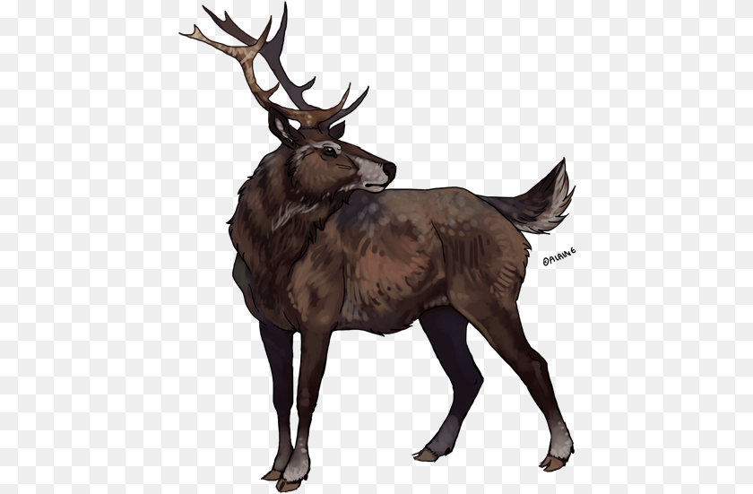 445x551 Originally Caught And Trained By Reykr Helsi While Cat, Mammal, Animal, Deer, Elk Transparent PNG