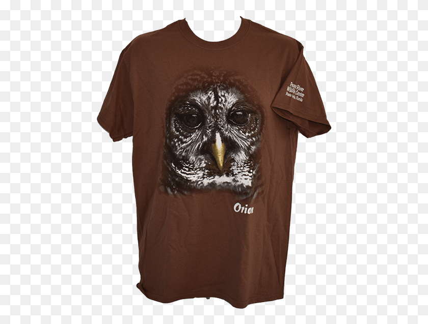 462x577 Orion Portrait T Shirt Gorilla, Clothing, Apparel, T-shirt HD PNG Download