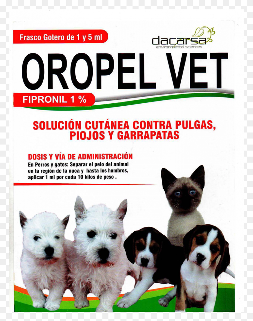 794x1025 Oropel Vet Pour On Perros Y Gatos Folleto De La Veterinaria, Dog, Pet, Canine HD PNG Download
