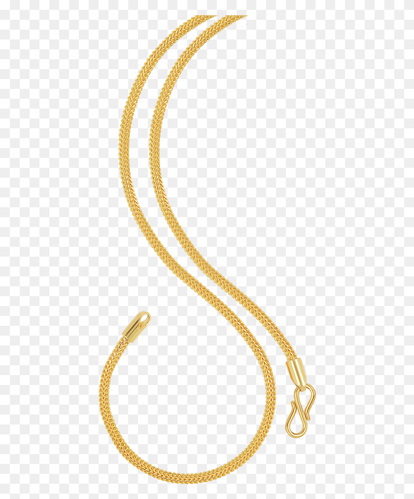442x951 Orra Gold Chain, Snake, Reptile, Animal HD PNG Download