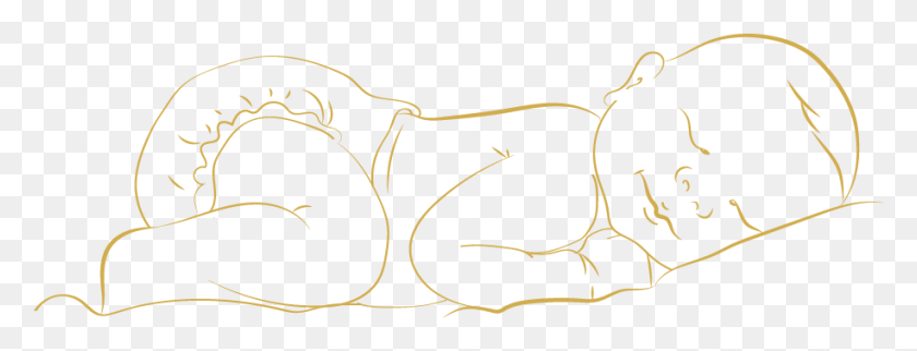 915x308 Oscar Is Sketch, Animal, Mammal, Text HD PNG Download