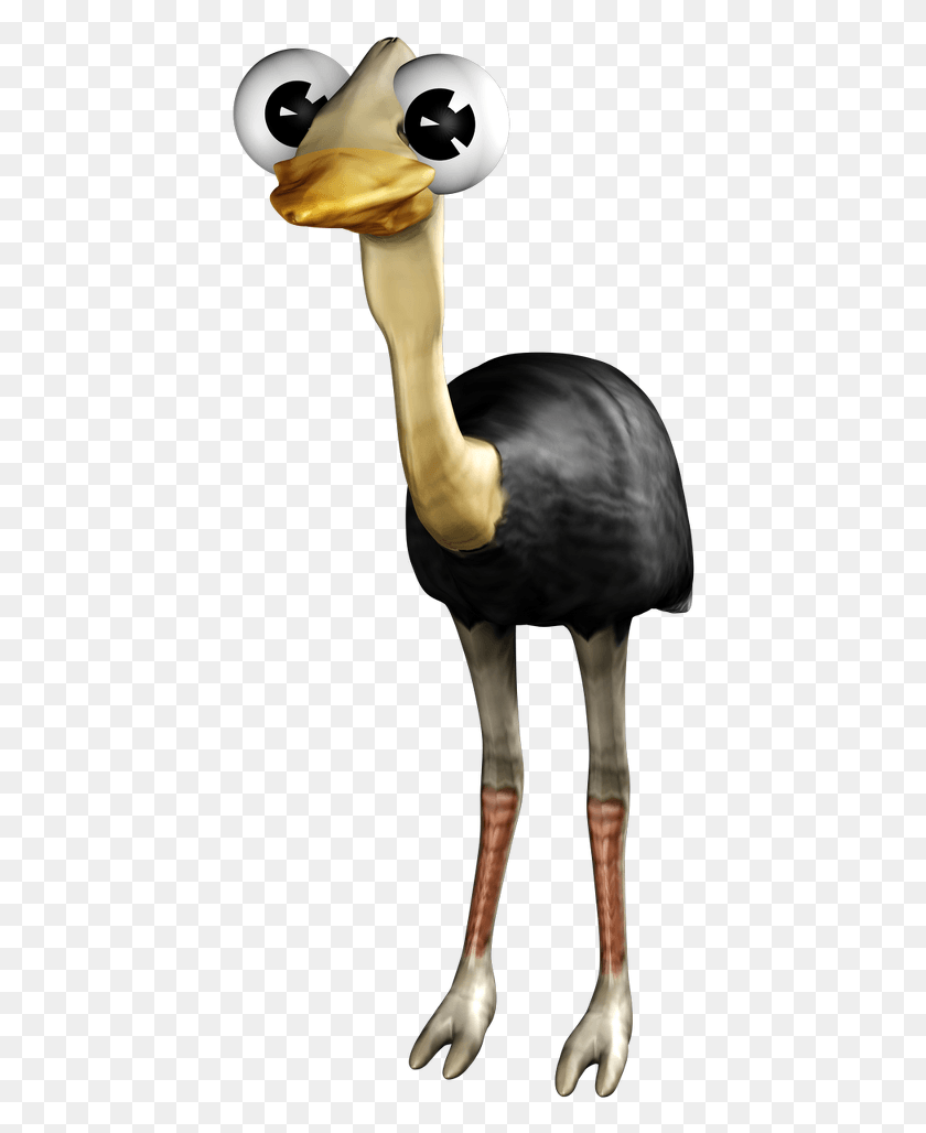 424x968 Ostrich, Animal, Bird, Crane Bird HD PNG Download