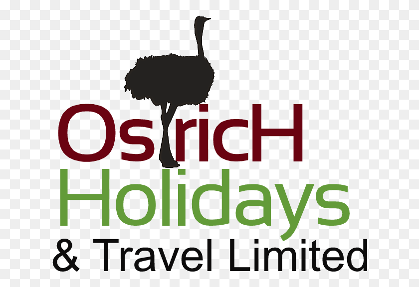 632x516 Ostrich Holidays And Travel Limited Logitech Vid, Poster, Advertisement, Text HD PNG Download