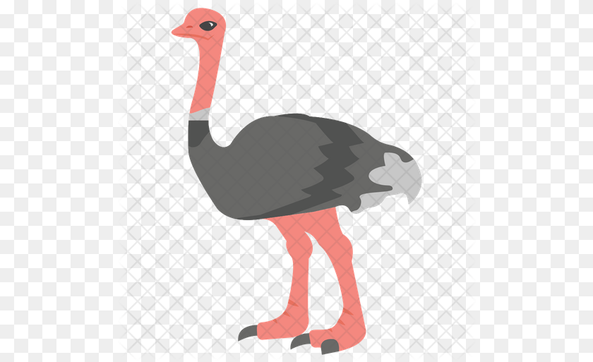 Ostrich Icon Ostrich, Animal, Beak, Bird Clipart PNG