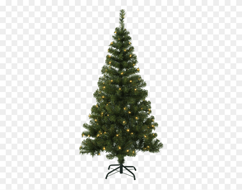294x601 Ottawa Christmas Tree Led, Tree, Ornament, Plant HD PNG Download